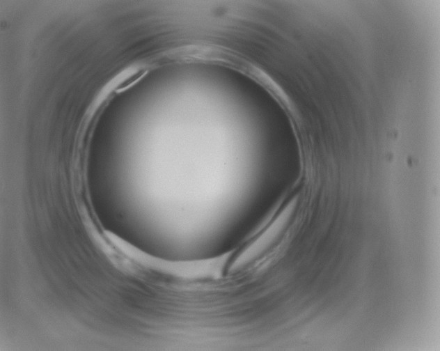 X0000083051434200702231944