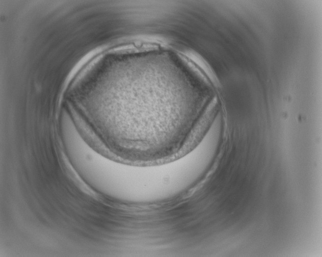 X0000083051436200702231944