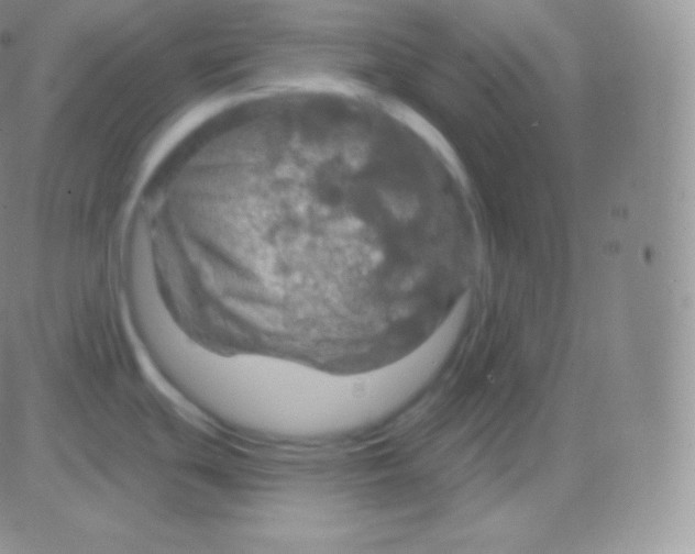 X0000083051439200702231944