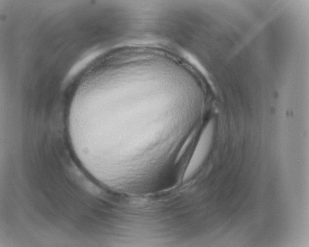 X0000083051456200702231943