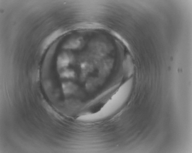 X0000083051459200702231943