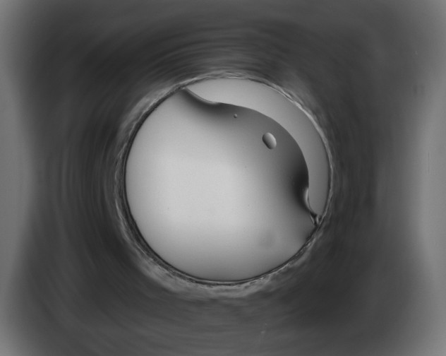 X0000083050001200703022121