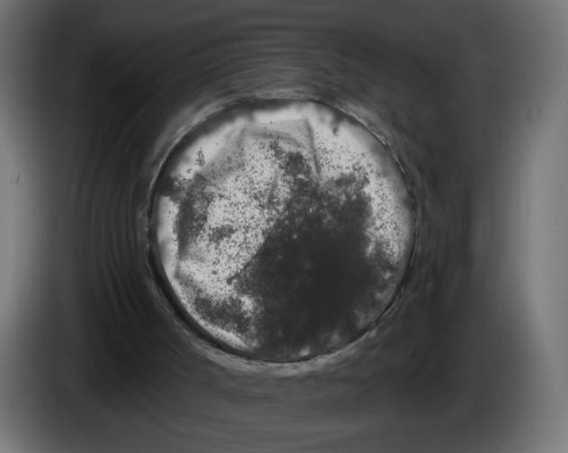 X0000083050002200703022121