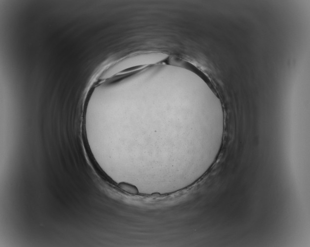 X0000083050003200703022121