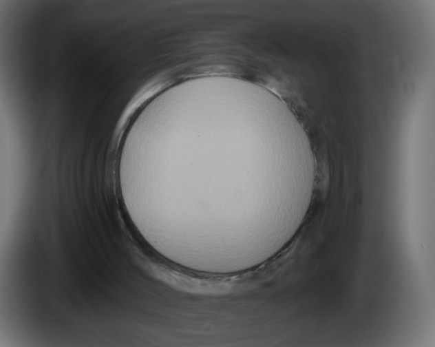 X0000083050004200703022121