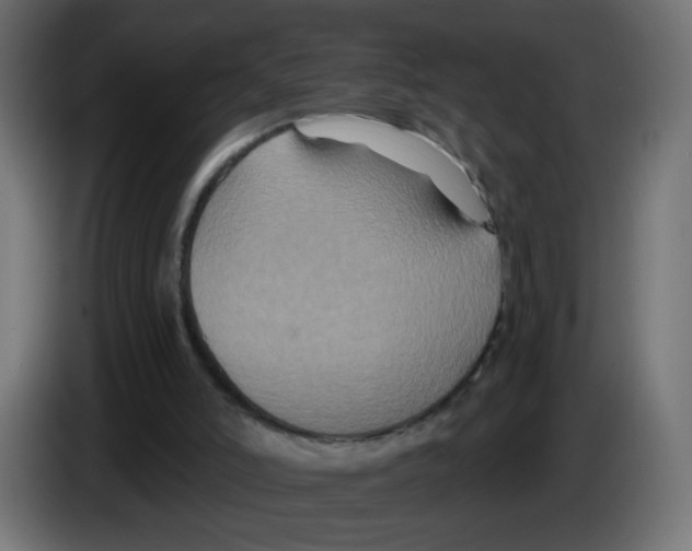 X0000083050006200703022121