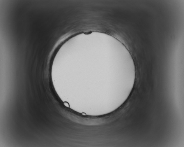 X0000083050008200703022121