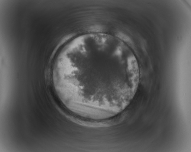 X0000083050012200703022121