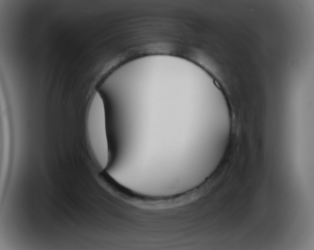 X0000083050013200703022121