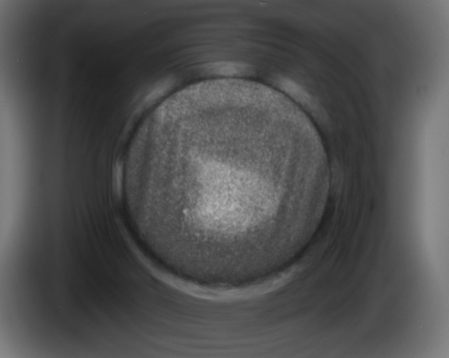 X0000083050014200703022121