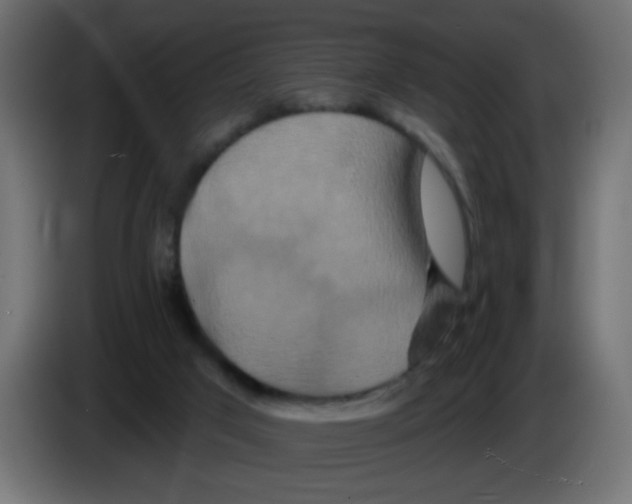 X0000083050017200703022121