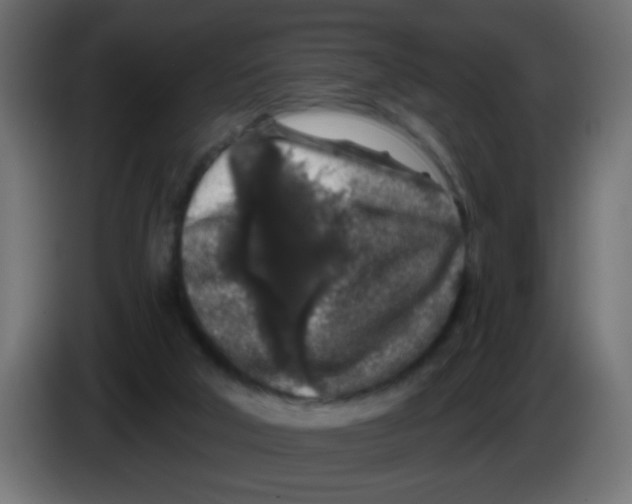 X0000083050018200703022121