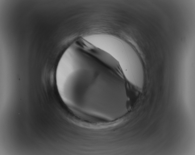 X0000083050019200703022121