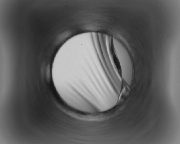 X0000083050020200703022121