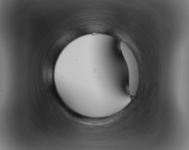 X0000083050021200703022121