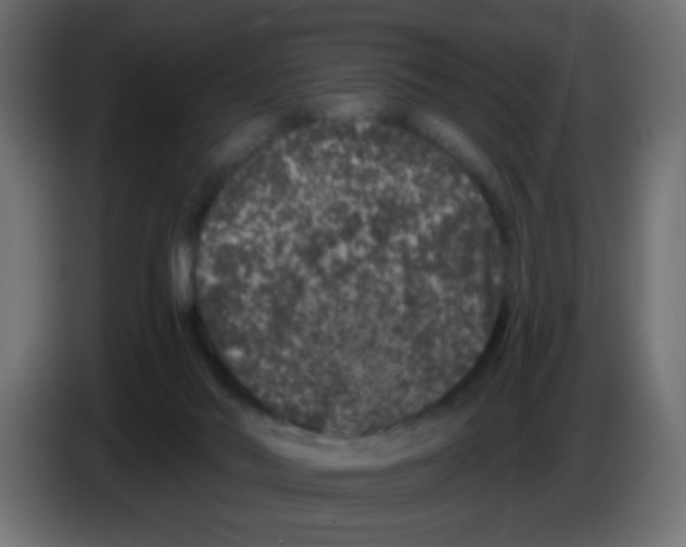 X0000083050022200703022121