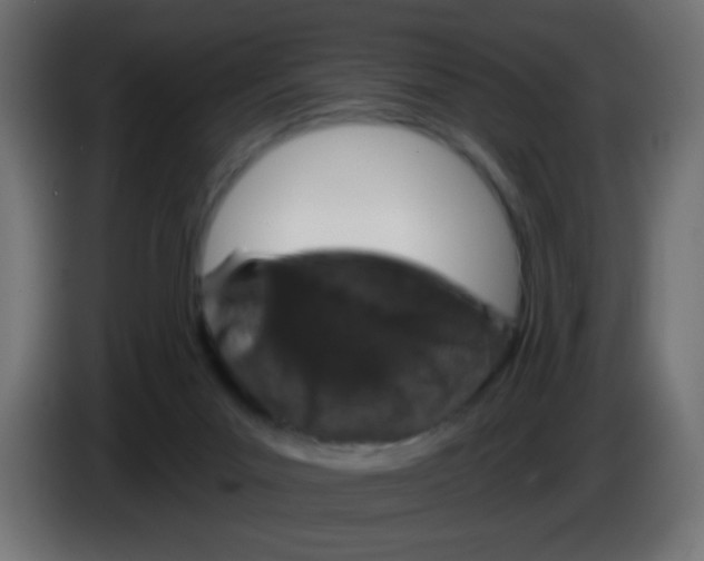 X0000083050023200703022121