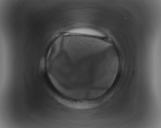 X0000083050024200703022121