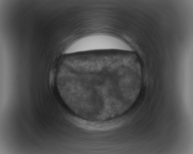 X0000083050026200703022121