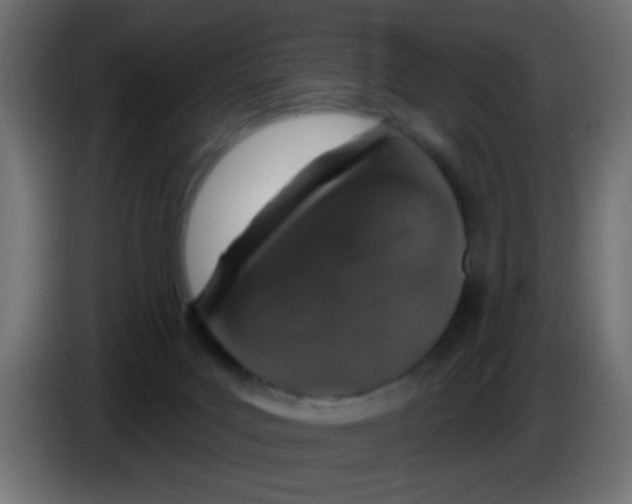 X0000083050027200703022121