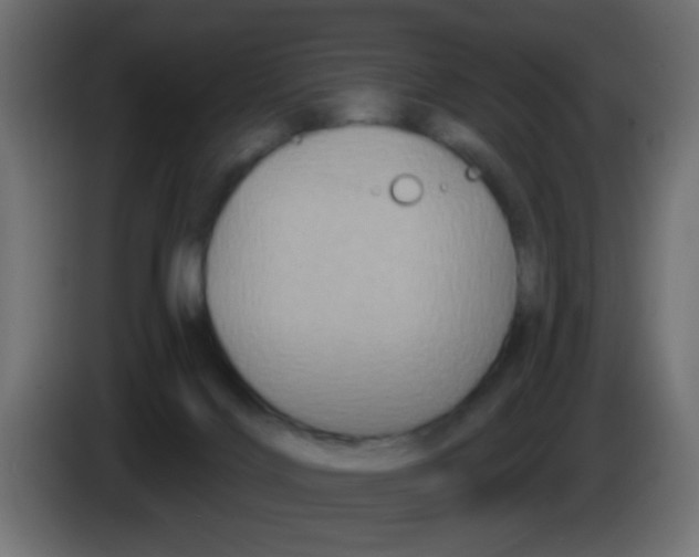 X0000083050028200703022121