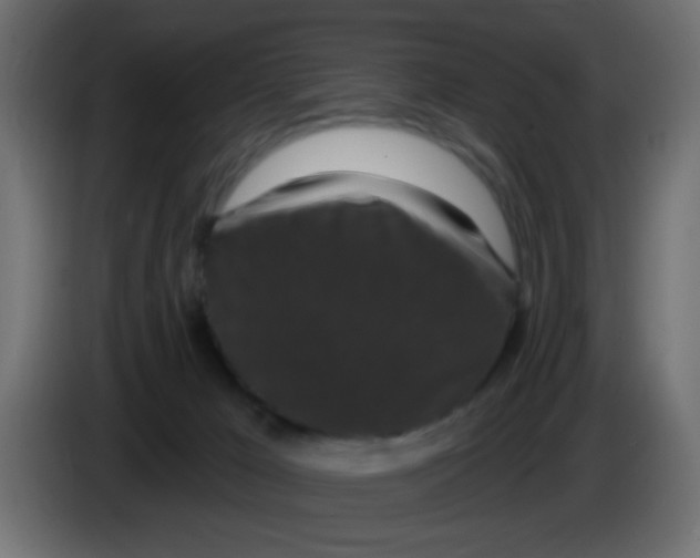 X0000083050029200703022121