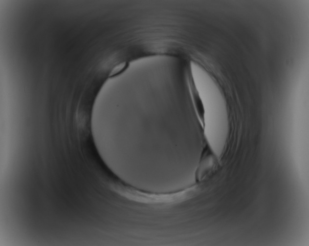 X0000083050031200703022121