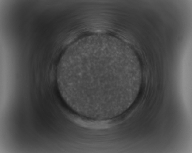 X0000083050032200703022121