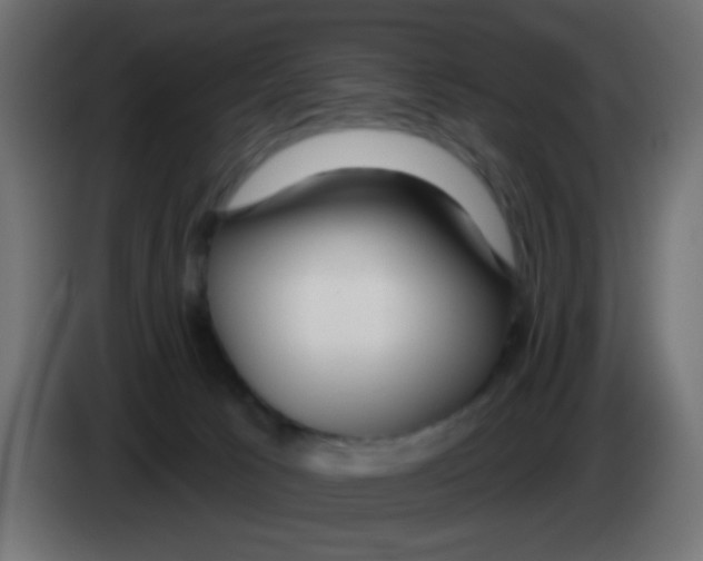 X0000083050033200703022121