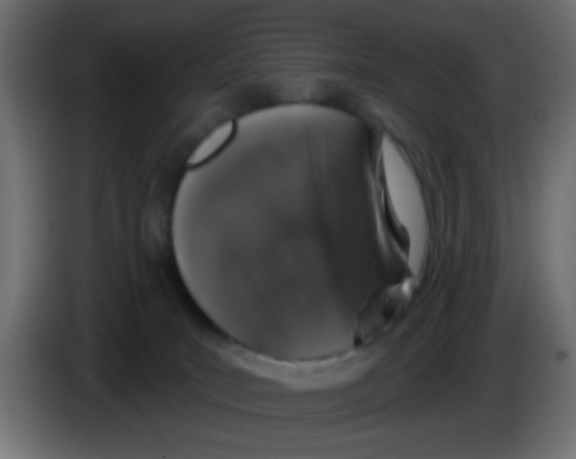 X0000083050035200703022121