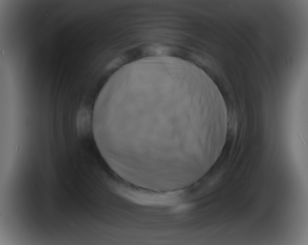 X0000083050036200703022121