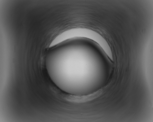 X0000083050037200703022121