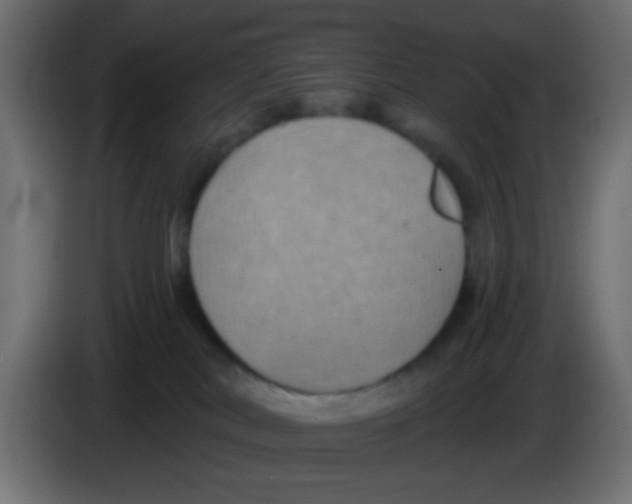 X0000083050038200703022120