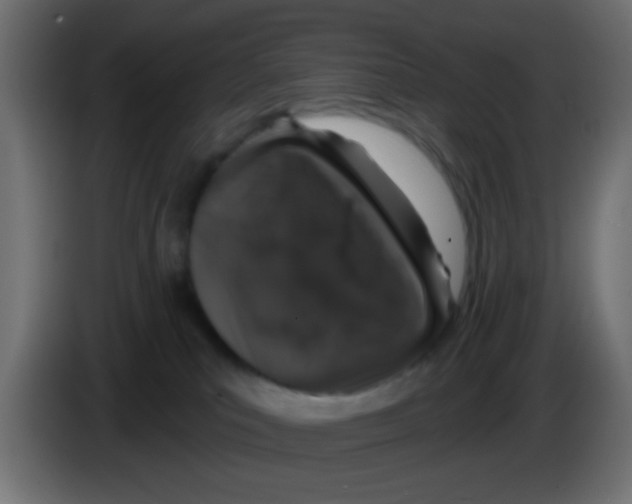 X0000083050039200703022120