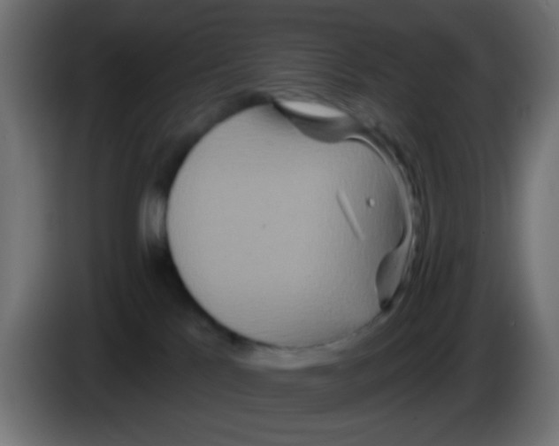 X0000083050041200703022120