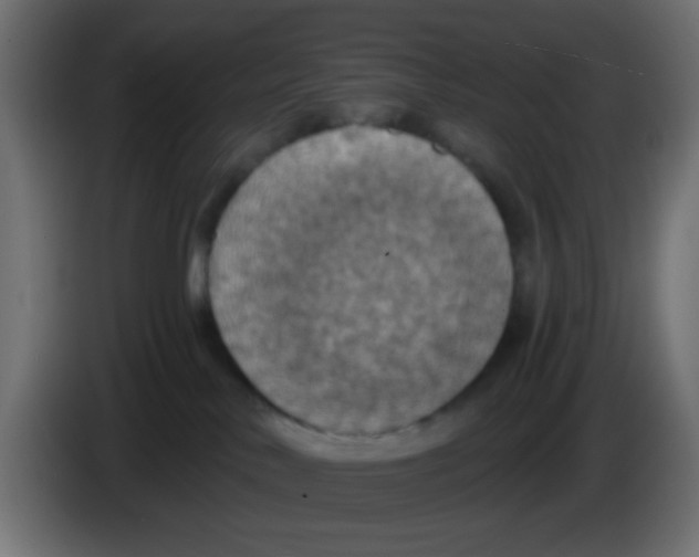 X0000083050042200703022120