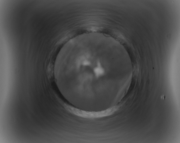 X0000083050043200703022120