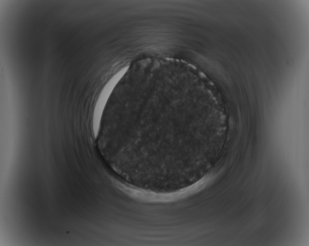 X0000083050048200703022120