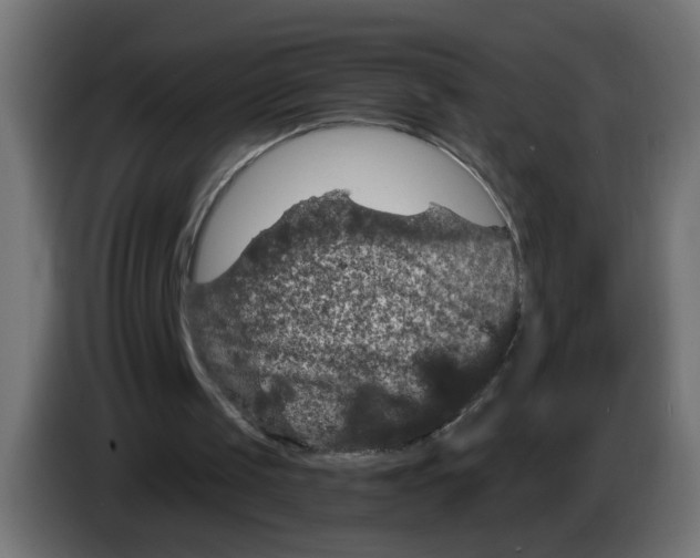 X0000083050049200703022120