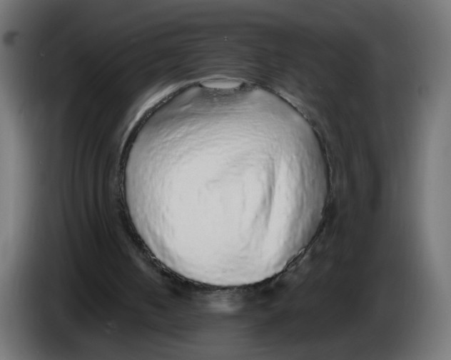 X0000083050050200703022120