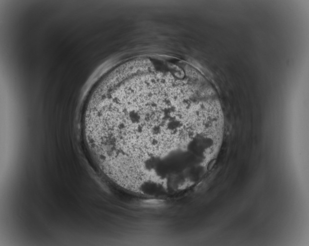 X0000083050053200703022120