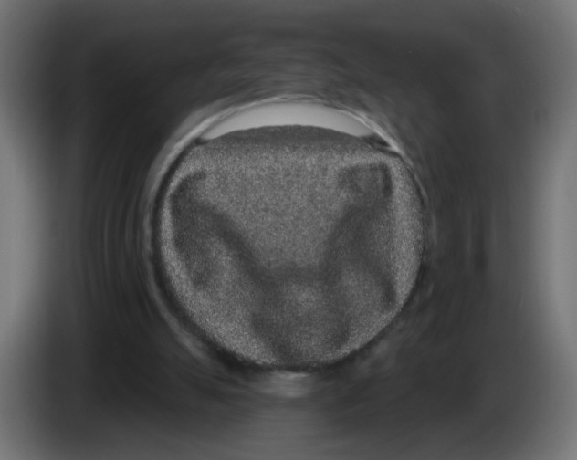 X0000083050055200703022120