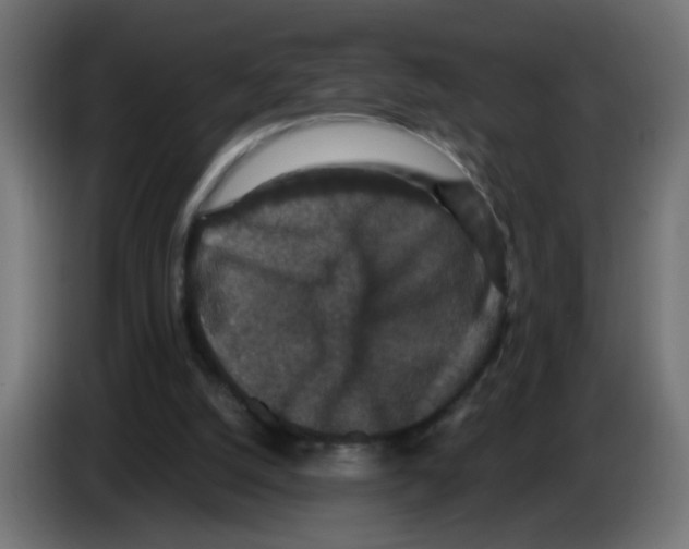 X0000083050056200703022120