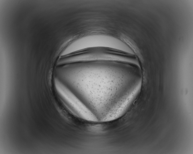 X0000083050058200703022120