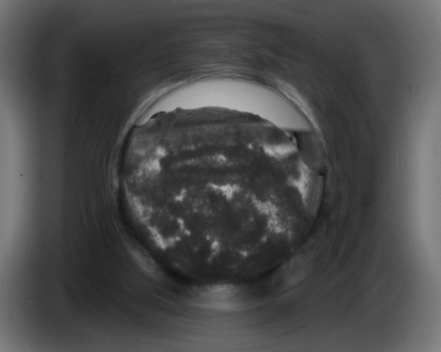 X0000083050059200703022120