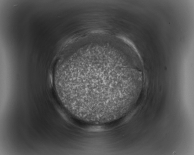 X0000083050061200703022120