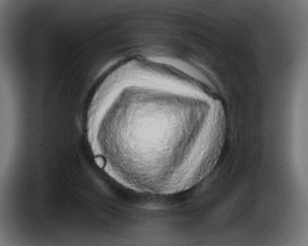 X0000083050062200703022120