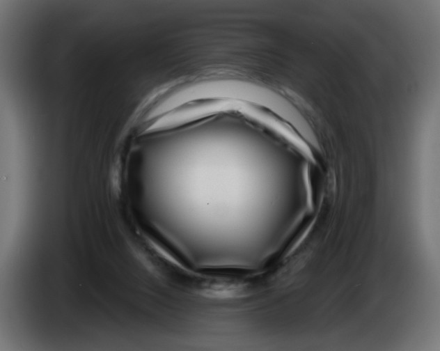 X0000083050064200703022120