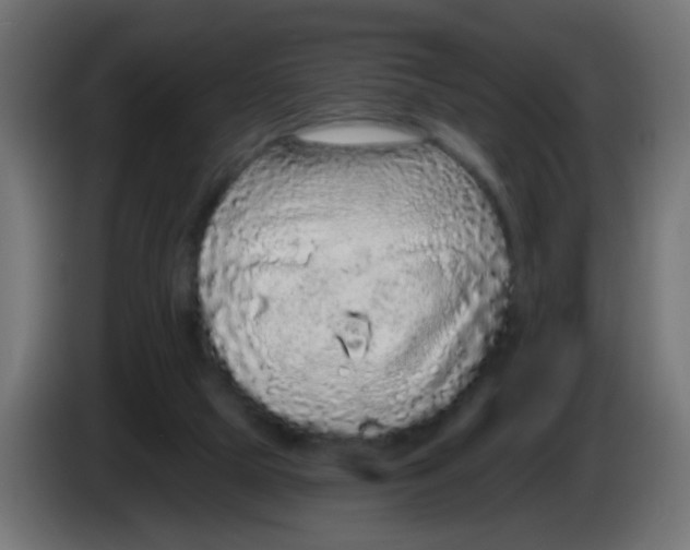 X0000083050065200703022120