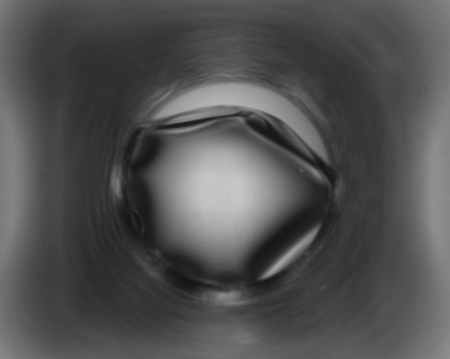 X0000083050068200703022120